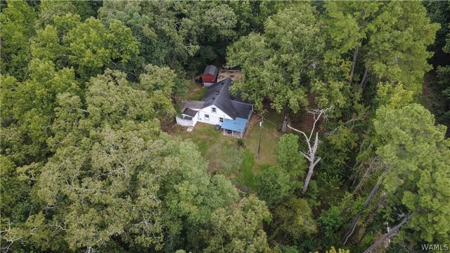 13035 Highway 171, Northport, AL 35473