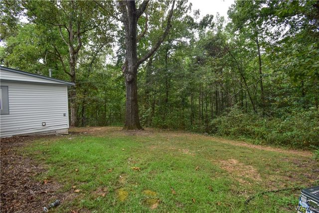 13035 Highway 171, Northport, AL 35473