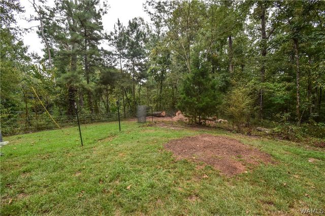 13035 Highway 171, Northport, AL 35473
