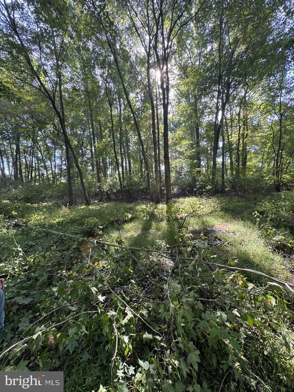 465 TOMLIN STATION RD, MULLICA HILL, NJ 08062 — photo 2