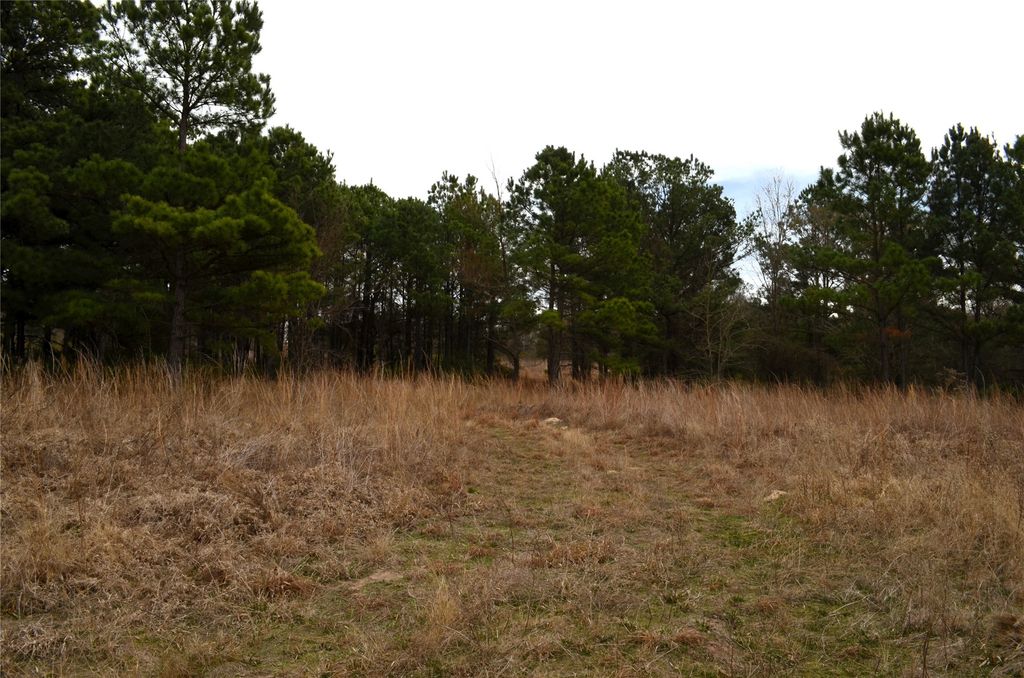 3843 Fm 1256, Eustace, TX 75124