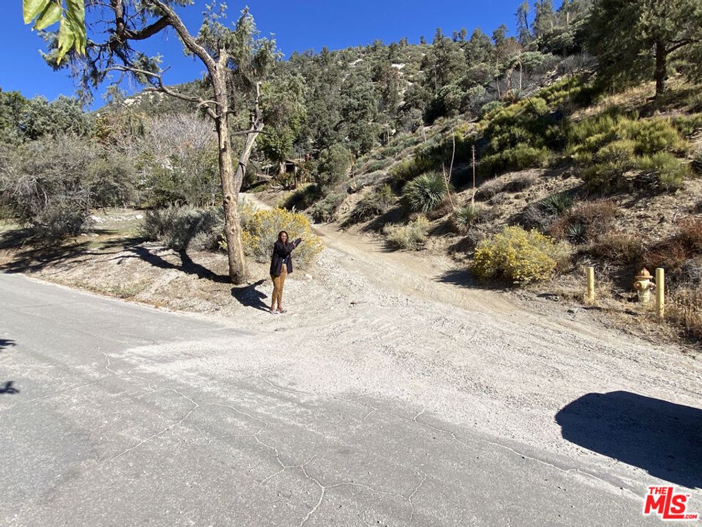 Image 69 of property listing at 3821 North End Drive, Frazier Park, CA 93225