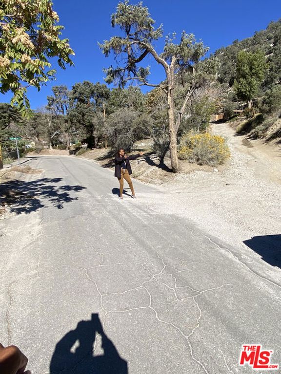 Image 70 of property listing at 3821 North End Drive, Frazier Park, CA 93225