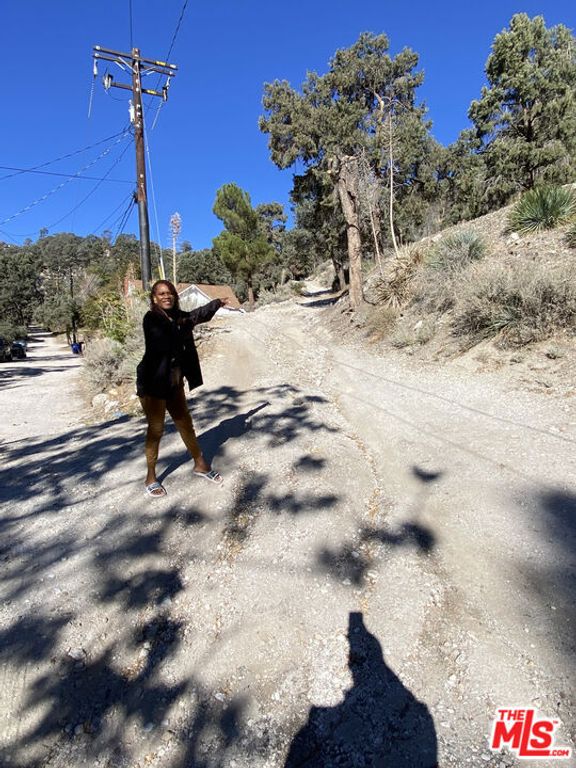 Image 71 of property listing at 3821 North End Drive, Frazier Park, CA 93225