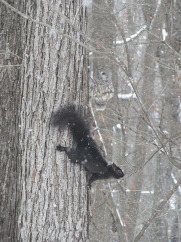 W4480 BIRCH HILL LANE, Merrill, WI 54452