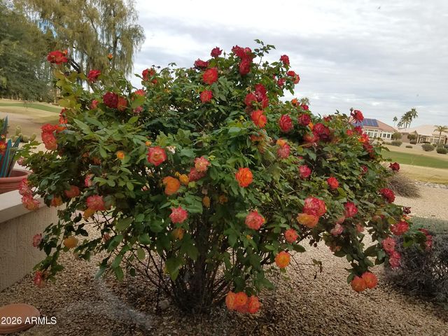 15536 W SKY HAWK Drive, Sun City West, AZ 85375