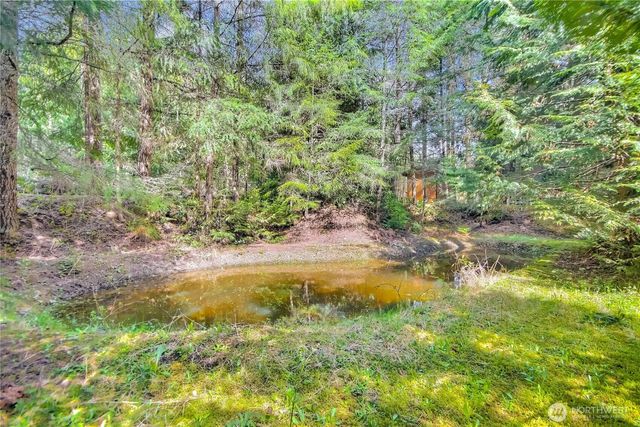 4601 292nd Street E, Graham, WA 98338