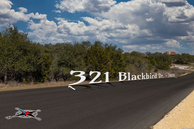 321 Blackbird Drive, Spring Branch, TX 78070