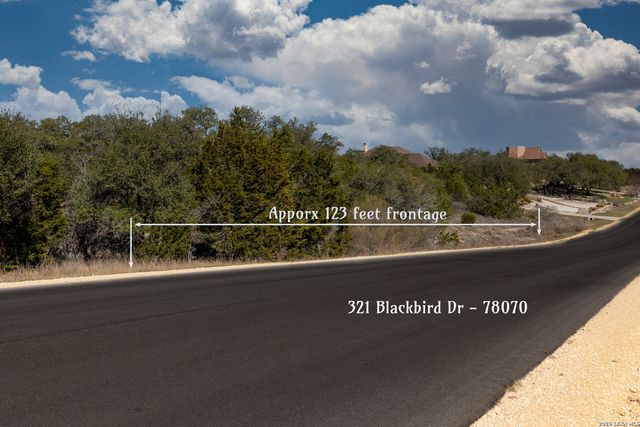 321 Blackbird Drive, Spring Branch, TX 78070