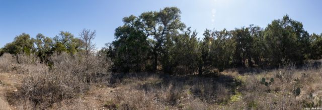 321 Blackbird Drive, Spring Branch, TX 78070