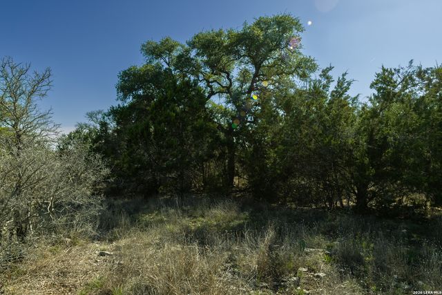 321 Blackbird Drive, Spring Branch, TX 78070