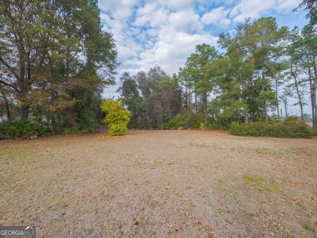 77 Cinnamon Teal Drive, Woodbine, GA 31569