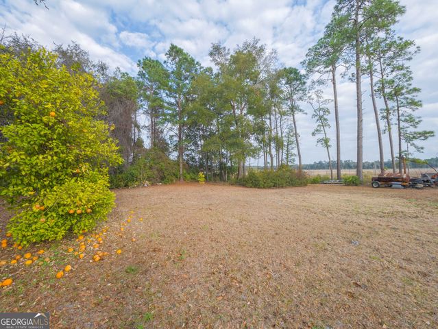 77 Cinnamon Teal Drive, Woodbine, GA 31569