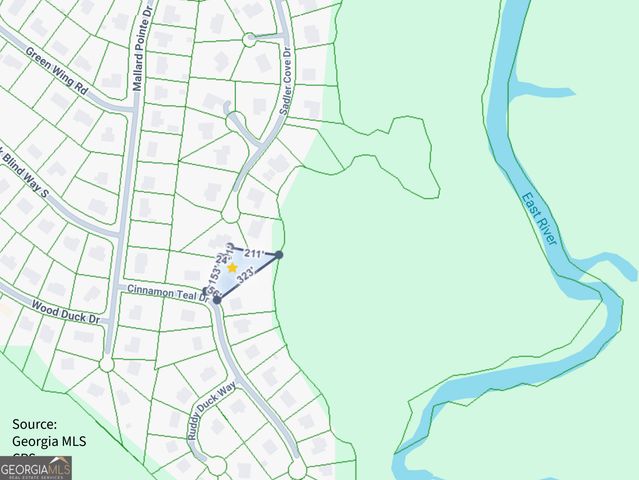 77 Cinnamon Teal Drive, Woodbine, GA 31569