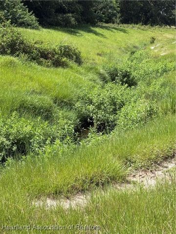 1001 Cattle Ranch Road, Venus, FL 33960