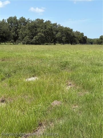 1001 Cattle Ranch Road, Venus, FL 33960