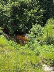 1001 Cattle Ranch Road, Venus, FL 33960