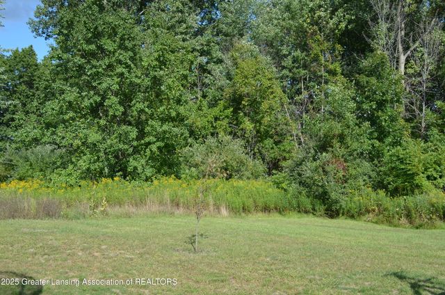 702 N Oakland Drive, Laingsburg, MI 48848