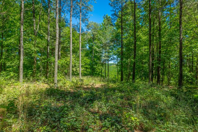 0 Split Rail Way 1349, Guild, TN 37340
