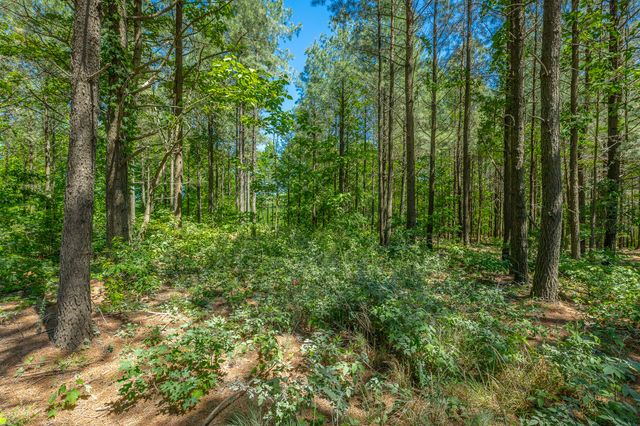 0 Split Rail Way 1349, Guild, TN 37340