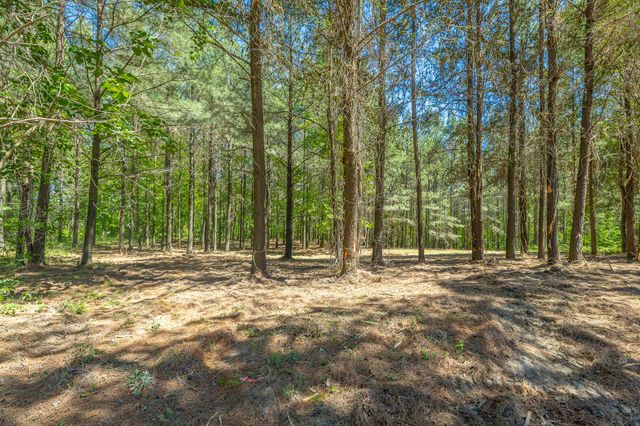 0 Split Rail Way 1349, Guild, TN 37340