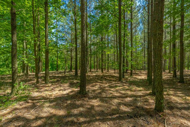 0 Split Rail Way 1349, Guild, TN 37340