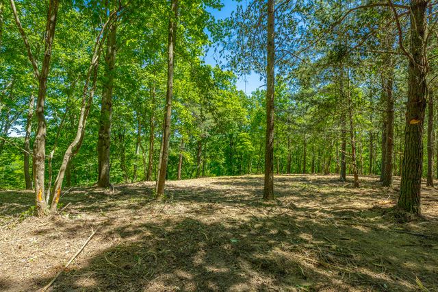 0 Split Rail Way 1349, Guild, TN 37340