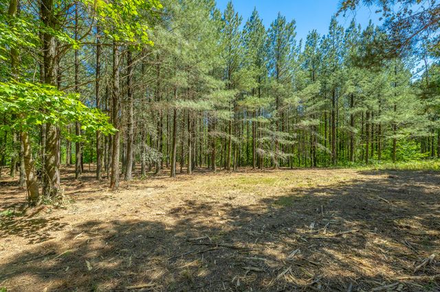 0 Split Rail Way 1349, Guild, TN 37340