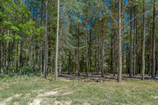 0 Split Rail Way 1349, Guild, TN 37340