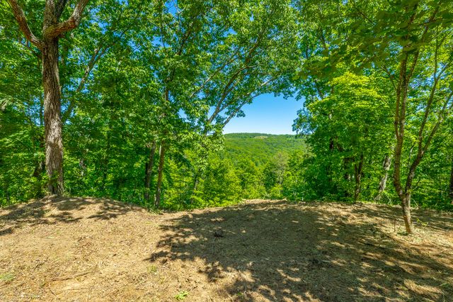 0 Split Rail Way 1349, Guild, TN 37340