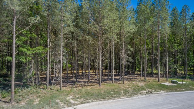 0 Split Rail Way 1349, Guild, TN 37340