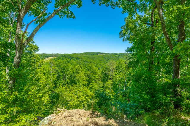 0 Split Rail Way 1349, Guild, TN 37340