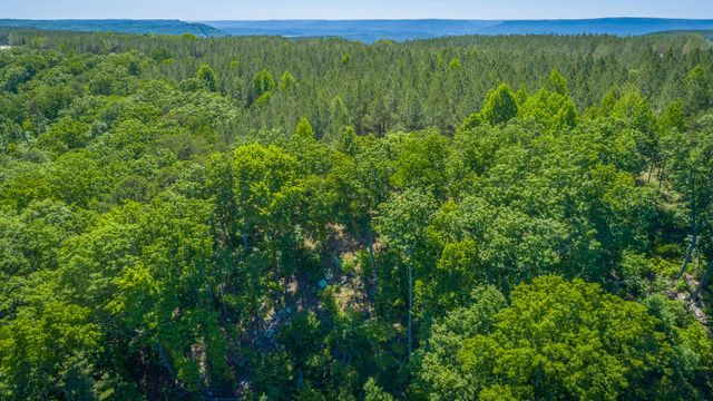 0 Split Rail Way 1349, Guild, TN 37340