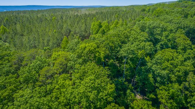 0 Split Rail Way 1349, Guild, TN 37340