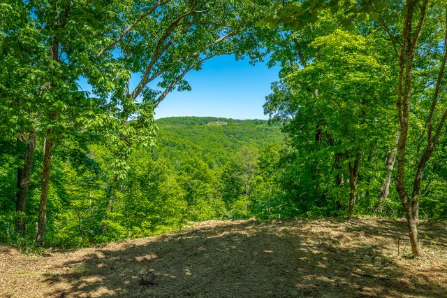 0 Split Rail Way 1349, Guild, TN 37340