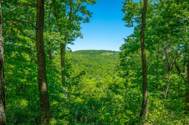 0 Split Rail Way 1349, Guild, TN 37340