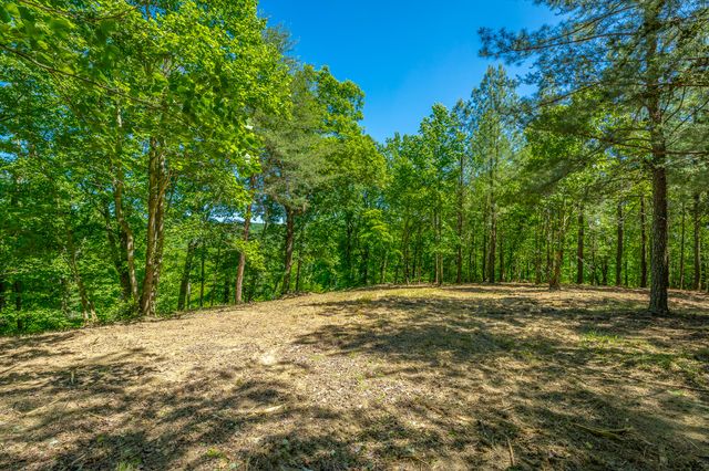 0 Split Rail Way 1349, Guild, TN 37340