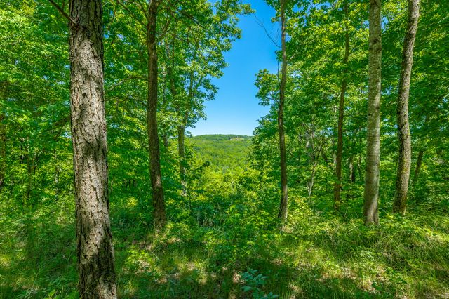 0 Split Rail Way 1349, Guild, TN 37340