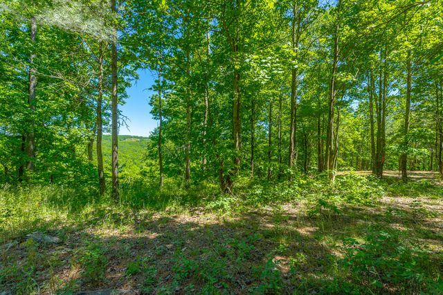 0 Split Rail Way 1349, Guild, TN 37340