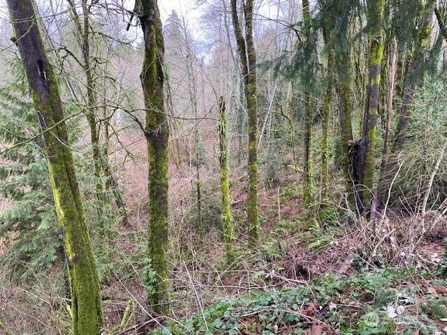 132 & 129 Linda Street SE, Tumwater, WA 98501