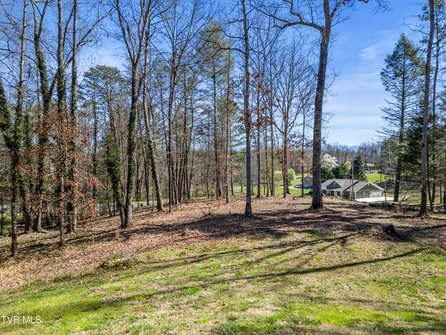165 Fairway Drive, Greeneville, TN 37743