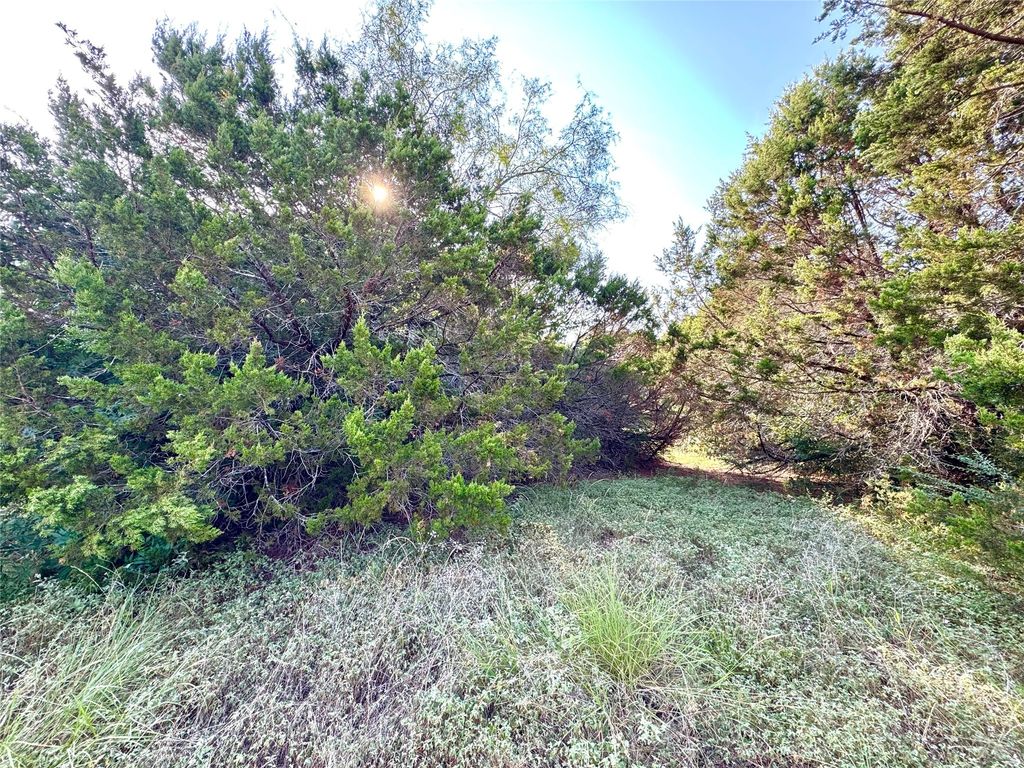 45001 Fringewood Drive, Whitney, TX 76692