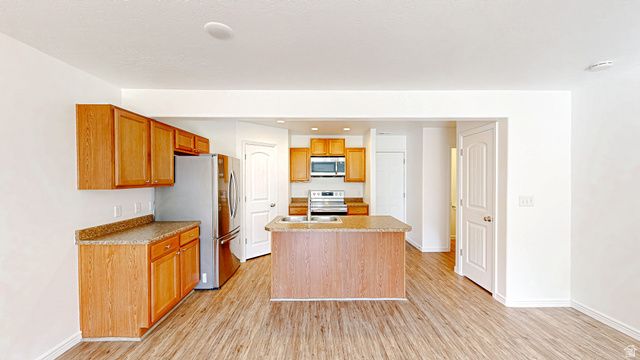 1228 N CATTAIL DR, Spanish Fork, UT 84660