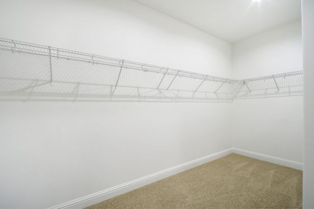 6009 Allium Place, Newark, CA 94560
