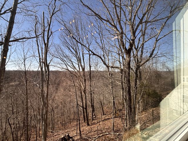 485 Baron Bluff Rd, Smithville, TN 37166