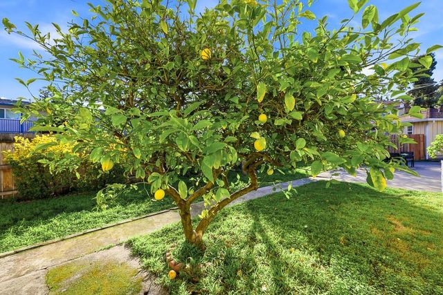 19790 Stanton Ave, Castro Valley, CA 94546