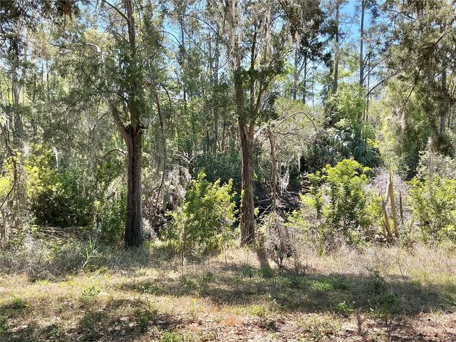 8702 VILLAGE MILL ROW, Hudson, FL 34667