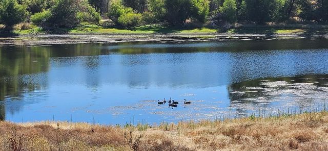 17 Chukar Dr, Wallace, CA 95254