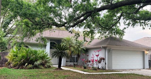 3820 CYPRESS MEADOWS ROAD, Tampa, FL 33624