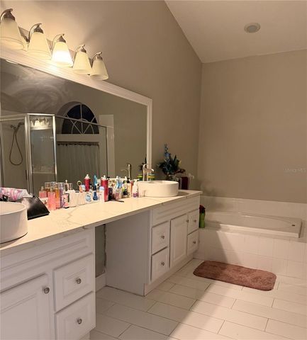 3820 CYPRESS MEADOWS ROAD, Tampa, FL 33624